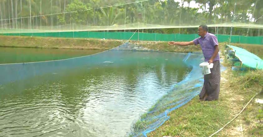 fishsale-04 fishsale-04