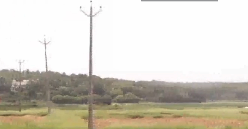 posts posts