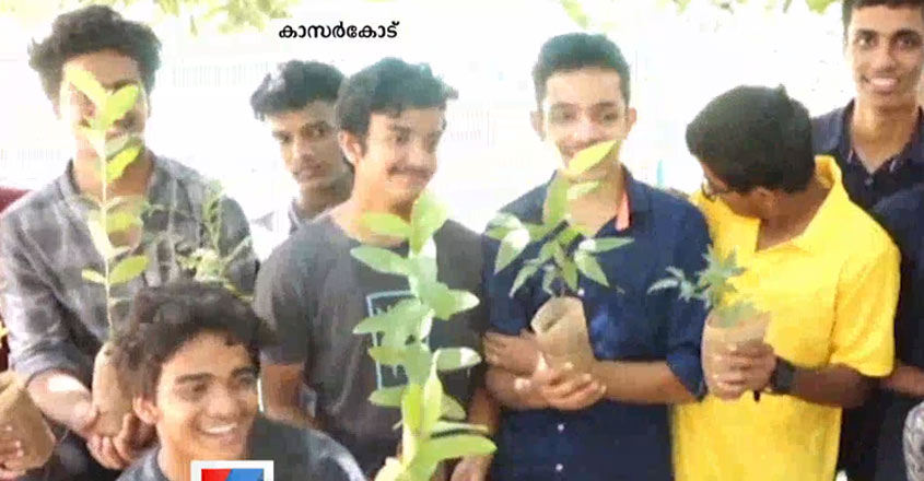 green-earth-kerala green-earth-kerala