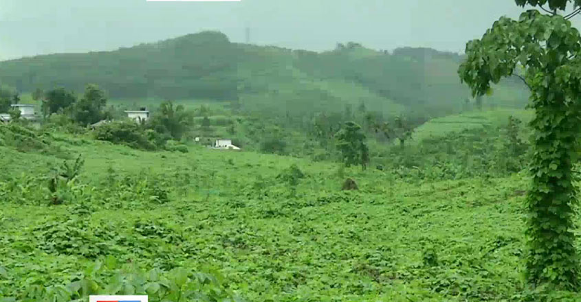 kozhikode-estate-land