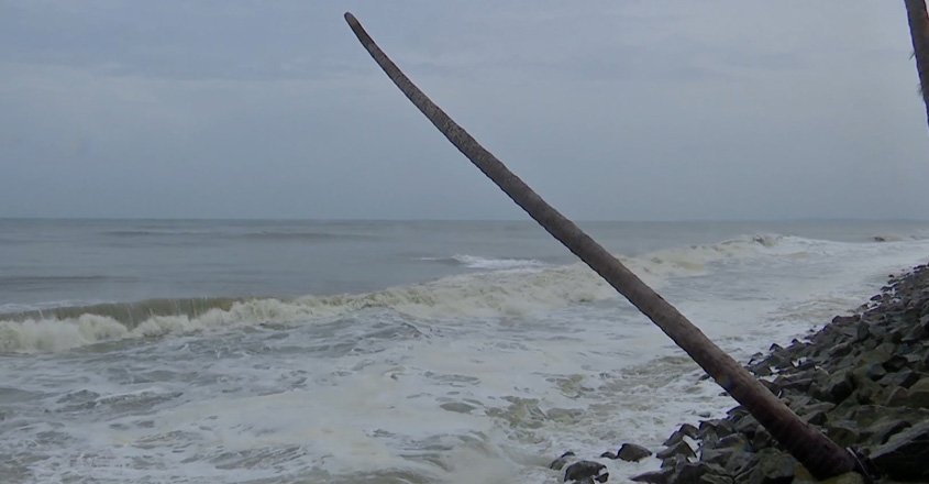 kannankadavu-wb kannankadavu-wb