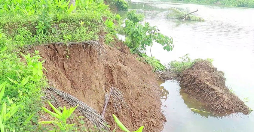 banks-of-the-kuttyadi-river-are-collapsing banks-of-the-kuttyadi-river-are-collapsing