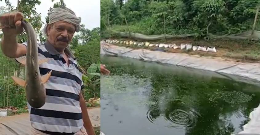 wayanadu-fish-farming