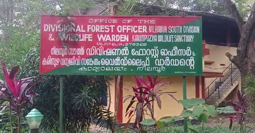 bearnilambur
