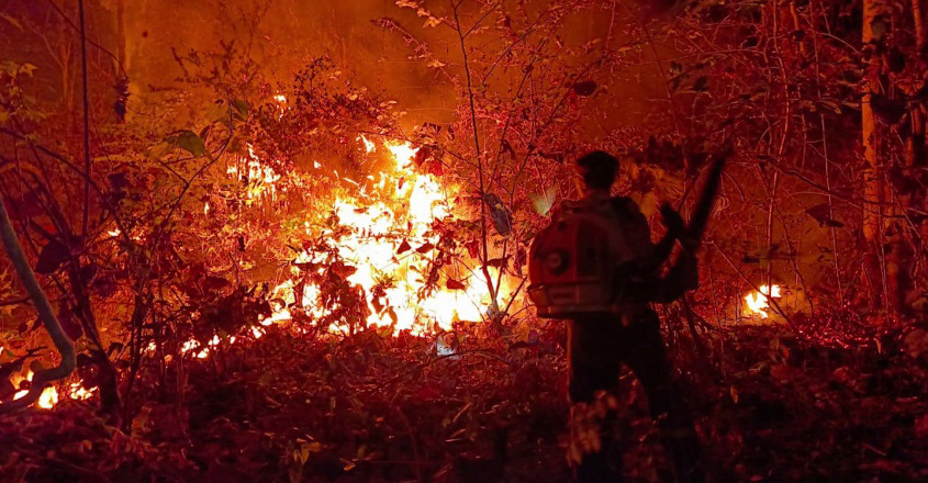 wild-fire-1