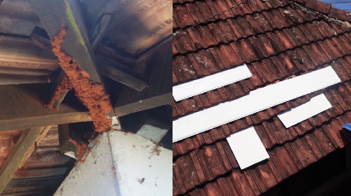 kumaranellur-family-health-centre