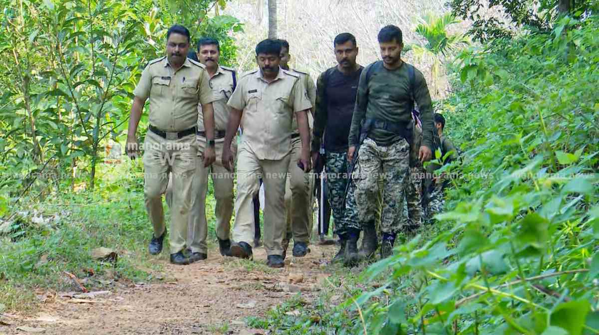 search-for-misising-woman-n-sindhu-continues-in-kannavam-forest