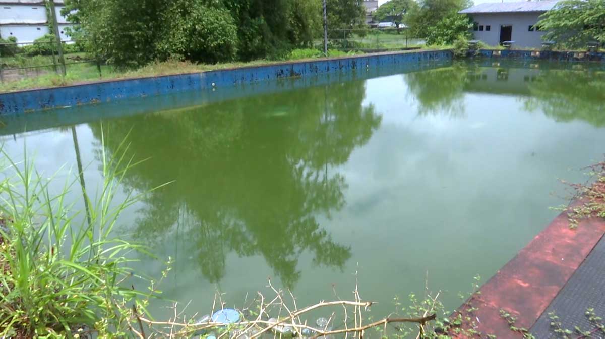 swimmingpool swimmingpool
