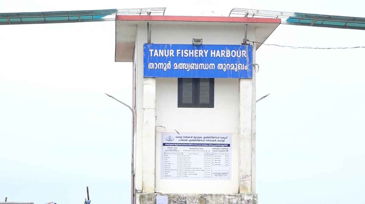 tanoor-harbour