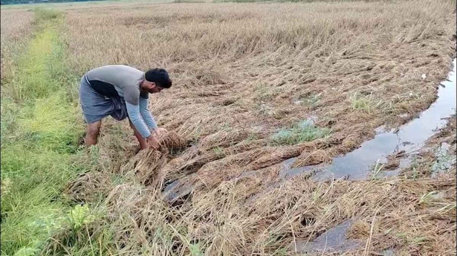 malappuram-farmers