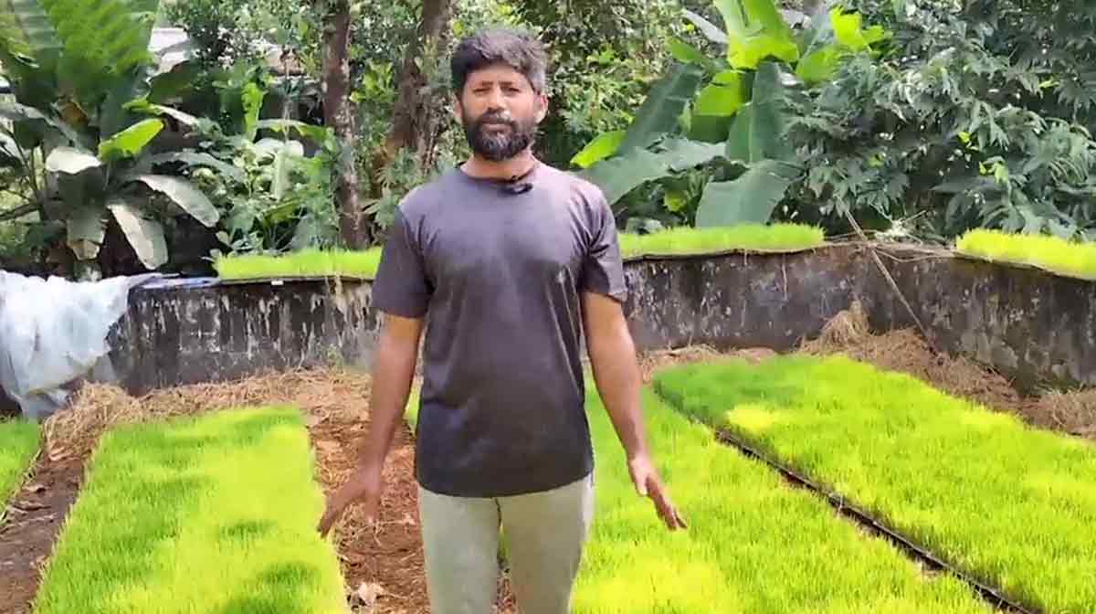 farmer