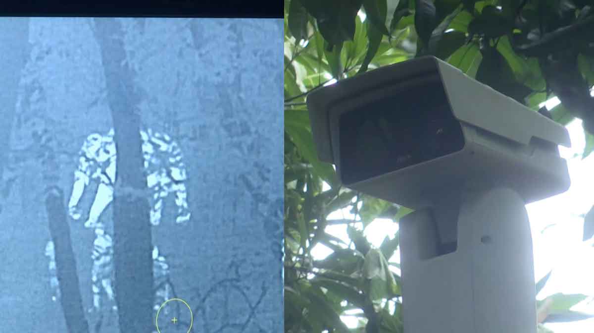 ai-camera-for-wild-elephant