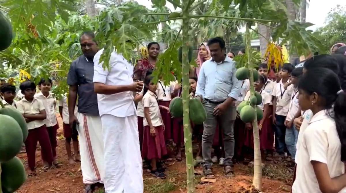 school-farming