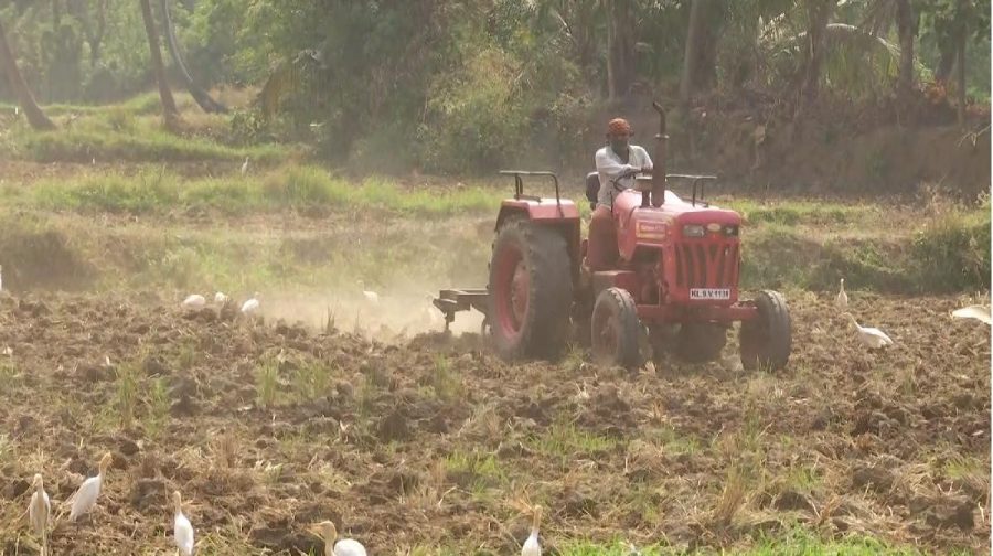 palakkad-farm