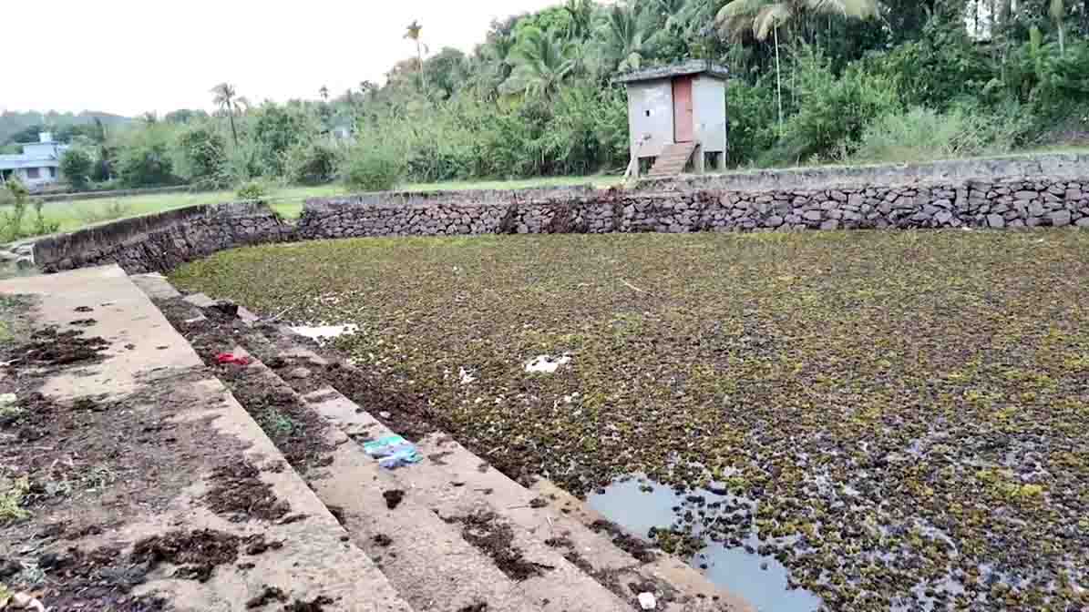 anayakara