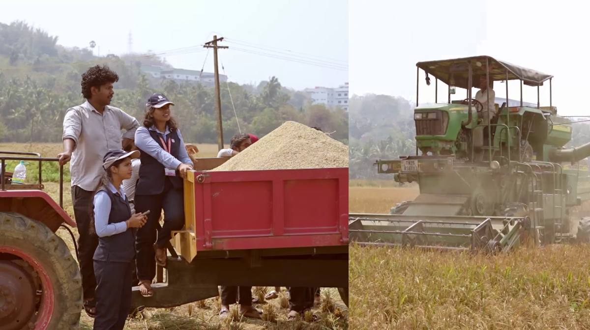 palakkad-students-paddy