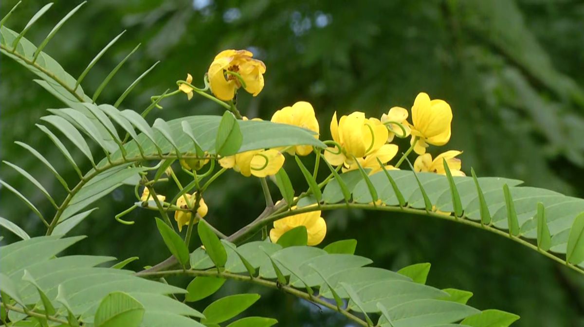 Image∙ Shutterstock - 1