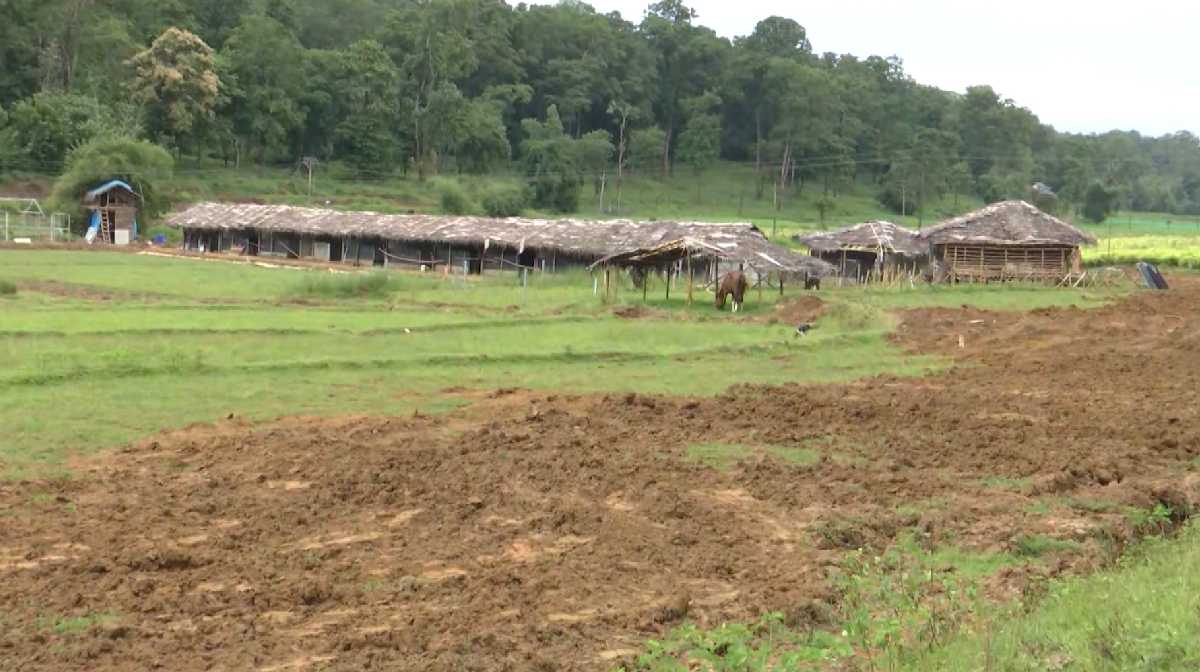 horse-farm