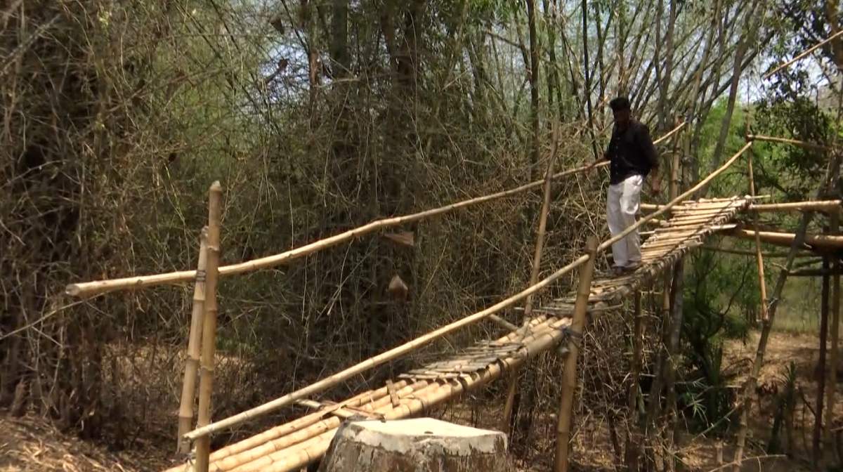 tribal-bridge