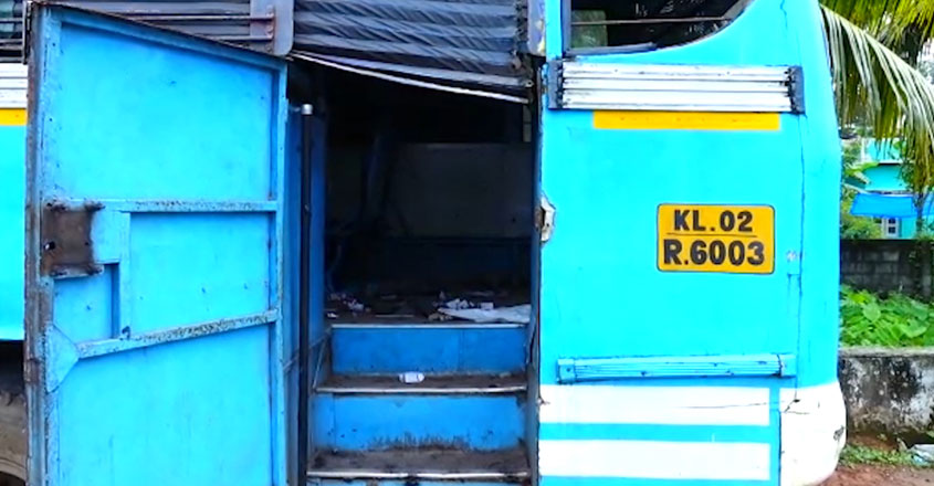 bus bus