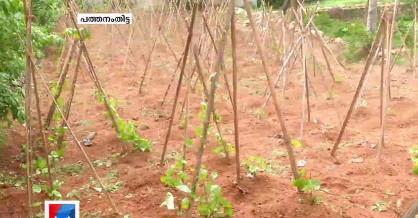 PathanamThitta-Adoor-farming