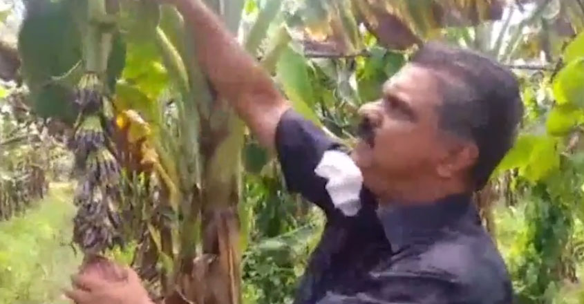 adoor adoor