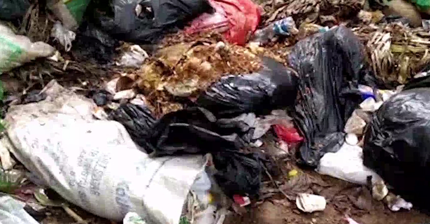waste waste
