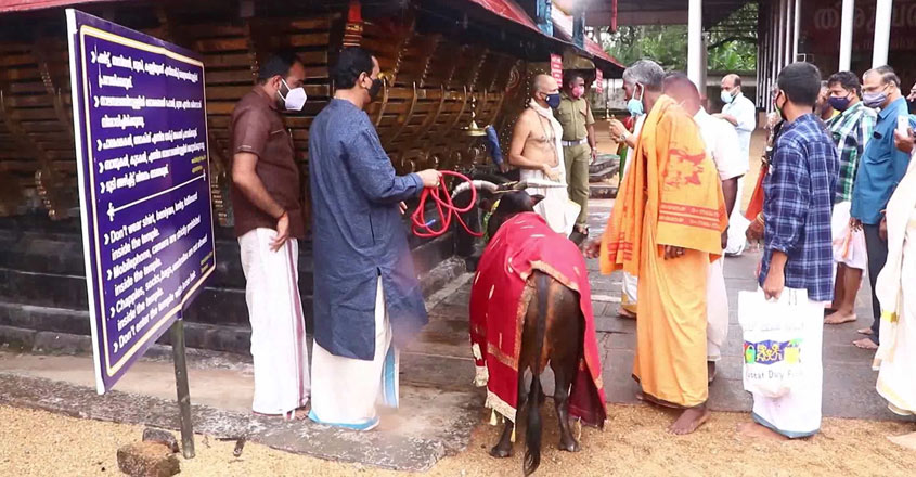 nandi nandi