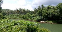 പാലത്തിനായി കാത്തിരിപ്പ്; മൂന്നുതവണ തുക അനുവദിച്ചു; പാലം പണി അവതാളത്തില്‍
