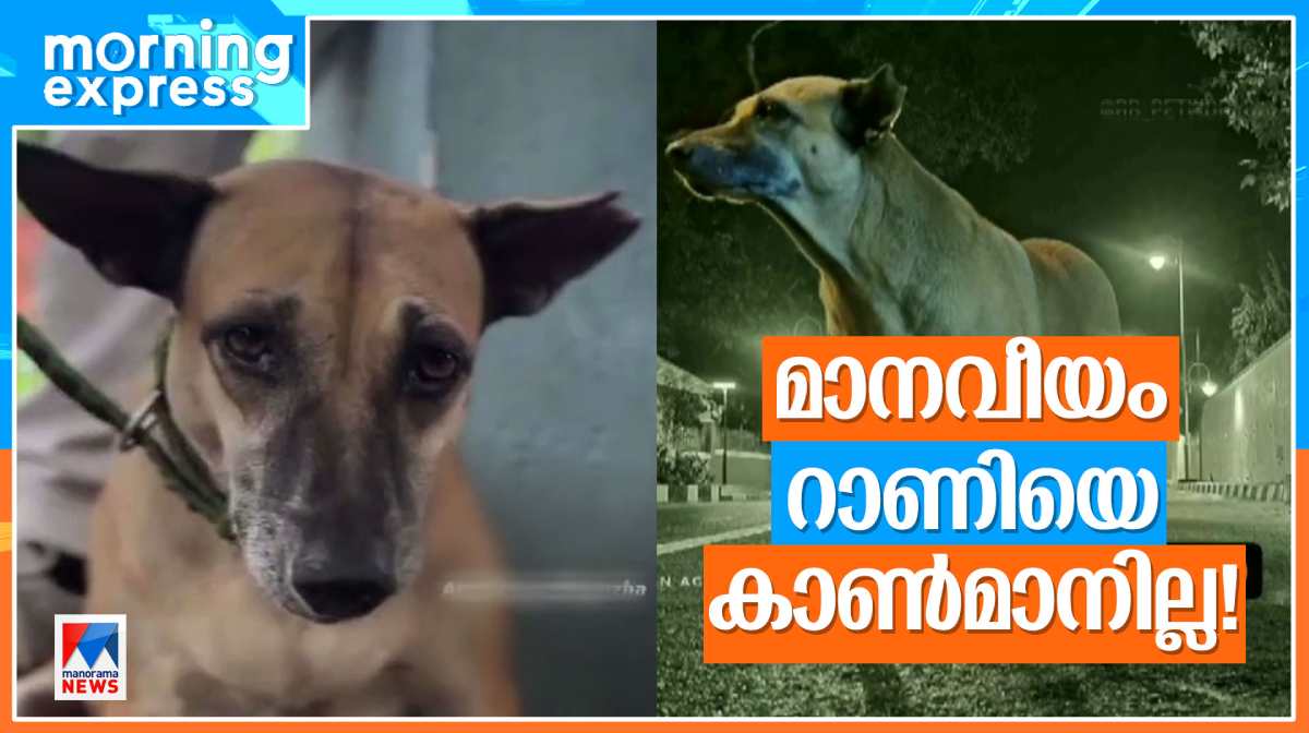 manaveeyam-veedhi-dog