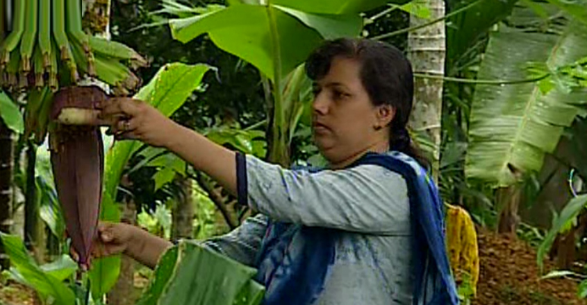 swapna-james