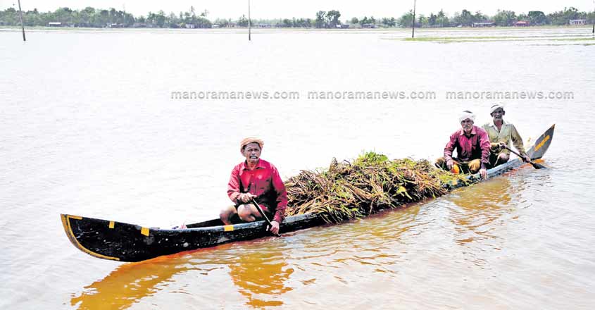 flood-kuttanadu-file-photo flood-kuttanadu-file-photo