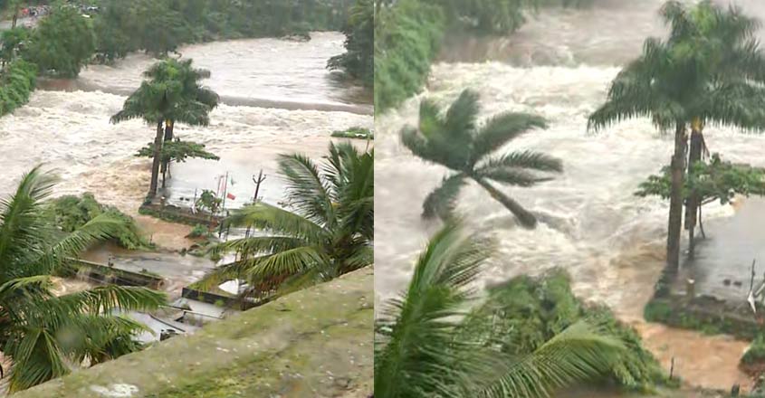 cheruthoni-damage cheruthoni-damage