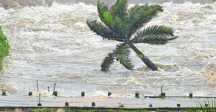 ഇടുക്കി ഡാമിലും പെരിയാറിലും ജലനിരപ്പ് നിയന്ത്രണവിധേയം 