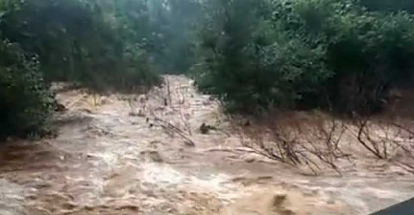 rain-3 rain-3