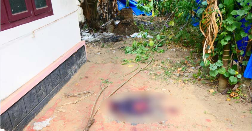 murder-thrissur-27 murder-thrissur-27