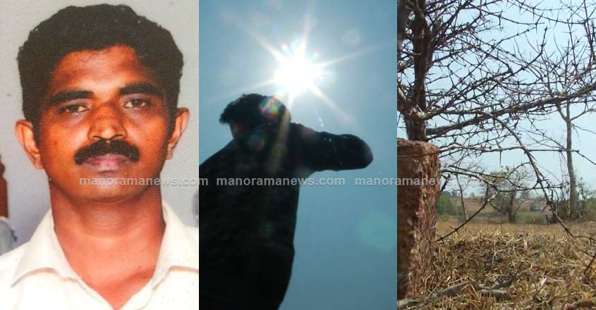 sun-stroke-death-2 sun-stroke-death-2