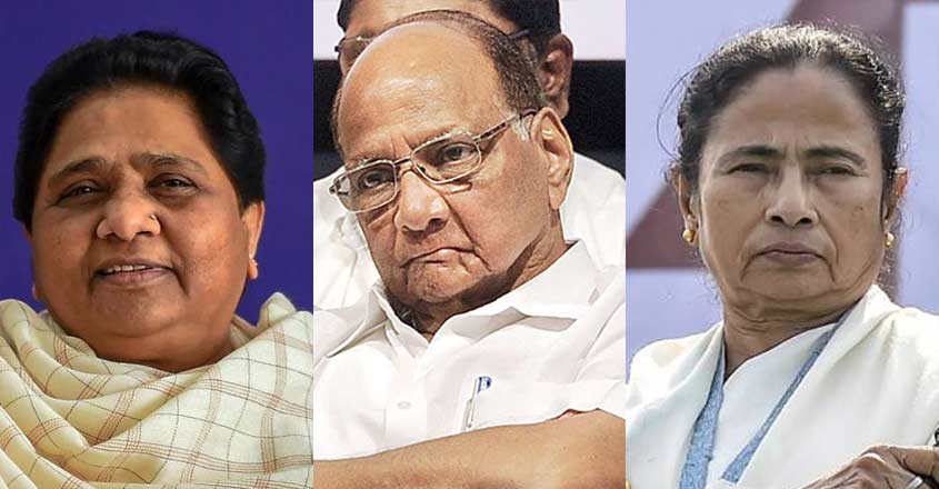 maya-pawar-mamata-1 maya-pawar-mamata-1