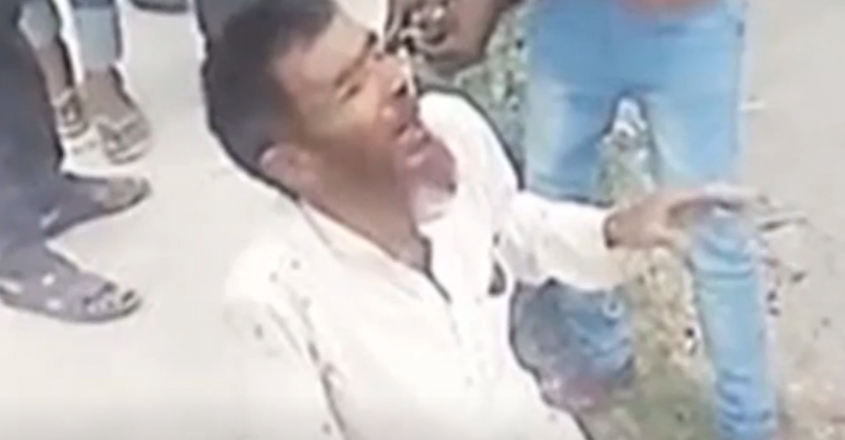 cow-murder cow-murder