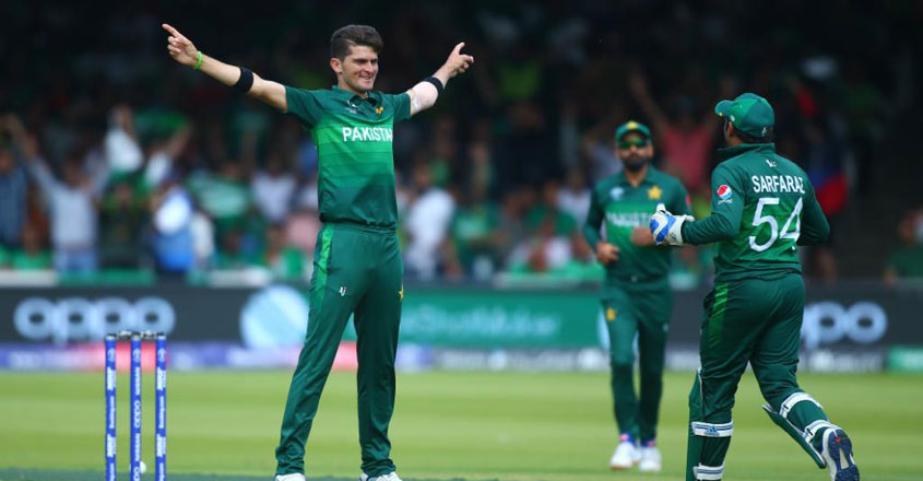 shaheen-afridi-wicket-celebration31 shaheen-afridi-wicket-celebration31