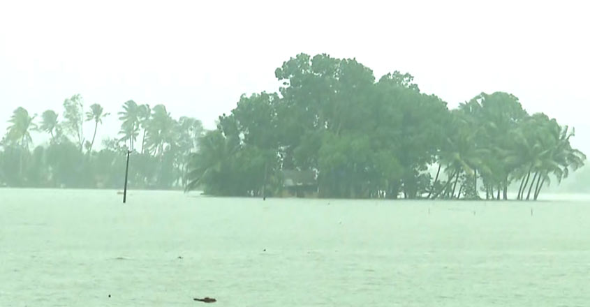 rain-5 rain-5