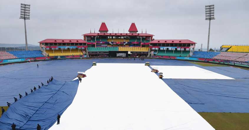 rain-cricket-3 rain-cricket-3