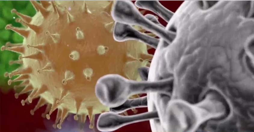 corona-virus corona-virus