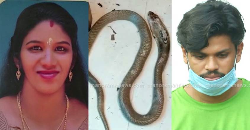 uthra-snake-suraj-3 uthra-snake-suraj-3