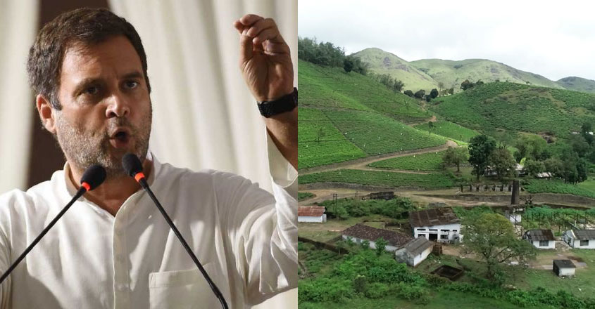 rahul rahul