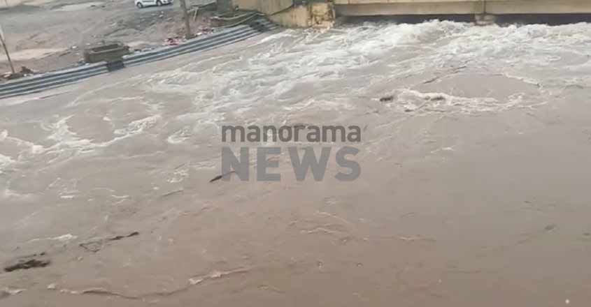 Pamba-03 Pamba-03