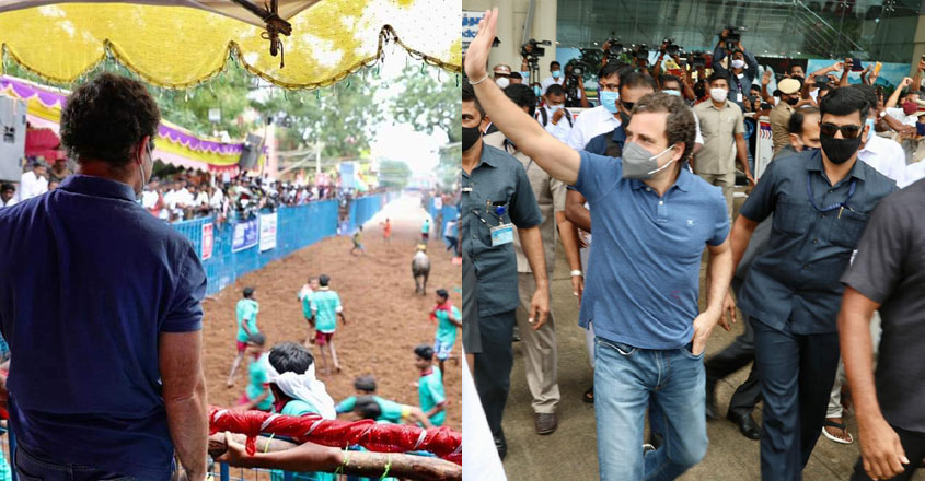 rahul-jalllikettu-tamilnadu rahul-jalllikettu-tamilnadu