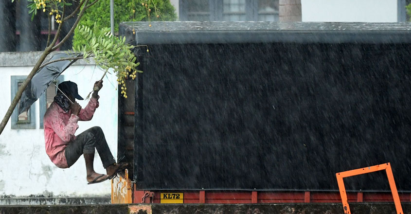 Rain Rain