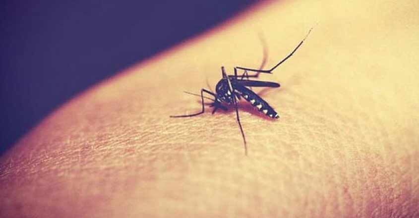 zika-virus zika-virus