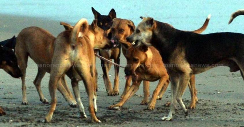 ഫയൽ ചിത്രം